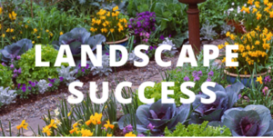 Landscape Success